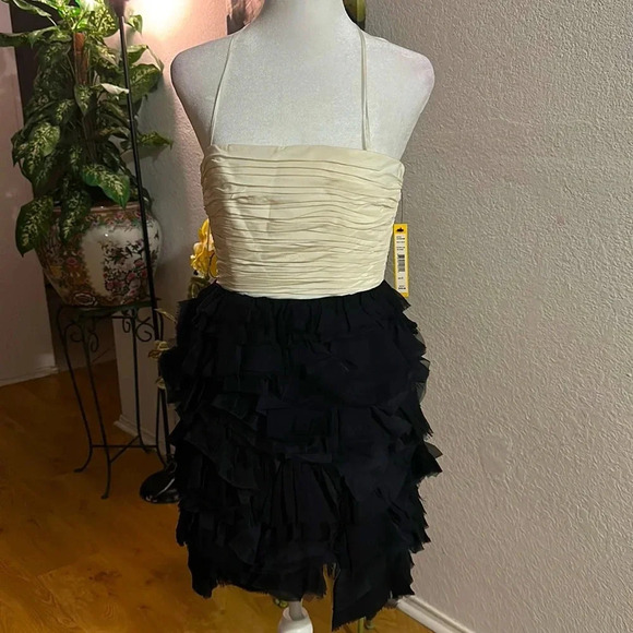 Alice + Olivia Dresses & Skirts - Alice + Olivia white black bubble Dress size 2